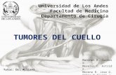 Universidad de Los Andes Facultad de Medicina Departamento de Cirugía TUMORES DEL CUELLO Tutor: Dr. Miliani Maninat R. Carlos R. Morales C. Astrid E. Moreno.