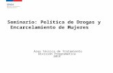 Seminario: Política de Drogas y Encarcelamiento de Mujeres Area Técnica de Tratamiento División Programática 2015.