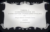 TAREA 1 COMPRENSIÓN DE CONCEPTOS FUNDAMENTALES Diego Alonso Carreño Corzo 244956 G11N06diego.