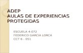 ADEP AULAS DE EXPERIENCIAS PROTEGIDAS ESCUELA 4-072 FEDERICO GARCIA LORCA CCT 6 - 051.