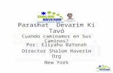 Parashat Devarim Ki Tavó Cuando caminamos en Sus Caminos? Por: Eliyahu BaYonah Director Shalom Haverim Org New York.