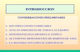 CONSIDERACIONES PRELIMINARES 1.- SON INFECCIONES FAMILIARES 2.- ATACAN INDIVIDUOS DE TODAS LAS EDADES 3.- SINTOMATOLOGIA DIVERSA O ATIPICA 4.- ALTAMENTE.