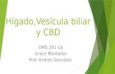 Hígado,Vesícula biliar y CBD DMS 201 CA Grace Montañez Prof. Andrés González.