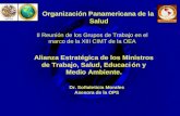 048TEN2K 1 II Reunión de los Grupos de Trabajo en el marco de la XIII CIMT de la OEA Organización Panamericana de la Salud Alianza Estratégica de los Ministros.