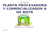 UNOCACH Proyecto: PLANTA PROCESADORA Y COMERCIALIZADOR A DE MOTE PROVINCIA DE BOLIVAR.