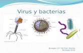 Virus y bacterias. Virus: concepto Los virus son seres acelulares, extraordinariamente simples, cuyo nivel de organización los sitúa entre lo vivo y lo.