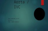 Aorta / IVC GRACE MONTAÑEZ ALICEA DMS 201 CA PROF. ANDRÉS GONZÁLEZ.