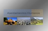 Asentamientos Humanos. Historia y Ciencias Sociales NM1 Presentaciones Weblog, Colegio Almondale, 2009 2 Un asentamiento humano es el establecimiento.