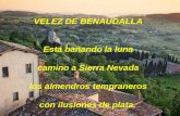 VELEZ DE BENAUDALLA Está bañando la luna camino a Sierra Nevada los almendros tempraneros con ilusiones de plata.
