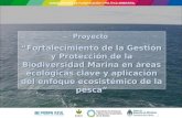 Proyecto “Fortalecimiento de la Gestión y Protección de la Biodiversidad Marina en áreas ecológicas clave y aplicación del enfoque ecosistémico de la pesca”