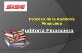 Auditoría Financiera Proceso de la Auditoría Financiera.