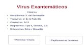 Virus Exantemáticos Clásicos Morbillivirus: V. del Sarampión Togavirus: V. de la Rubeóla Parvovirus: B-19 Herpesvirus: Tipo 6, Varicela, E.B. Enterovirus: