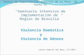 Centro de Capacitación Judicial de la Prov. de Santa Fe “Seminario Intensivo de Implementación de Reglas de Brasilia” Violencia Dom é stica y Violencia.
