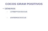 COCOS GRAM POSITIVOS GÉNEROS –STREPTOCOCCUS –ENTEROCOCCUS.