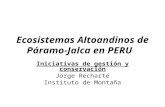 Ecosistemas Altoandinos de Páramo-Jalca en PERU Iniciativas de gestión y conservación Jorge Recharte Instituto de Montaña.