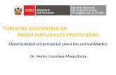 TURISMO SOSTENIBLE EN ÁREAS NATURALES PROTEGIDAS Oportunidad empresarial para las comunidades Dr. Pedro Gamboa Moquillaza.