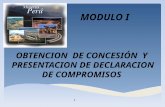 OBTENCION DE CONCESIÓN Y PRESENTACION DE DECLARACION DE COMPROMISOS 1 MODULO I.