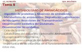 LIC. NUTRICIÓN QCA. BIOLÓGICA Tema 8 METABOLISMO DE AMINOÁCIDOS - Digestión de proteínas y Absorción de aminoácidos. - Metabolismo de aminoácidos- Degradación.