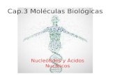 Cap.3 Moléculas Biológicas Nucleótidos y Ácidos Nucleicos.
