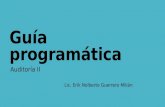 Guía programática Auditoría II Lic. Erik Nolberto Guerrero Milián.