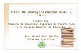 Plan de Reorganización Núm. 1 (PR-1) Fusión del Consejo de Educación Superior de Puerto Rico y el Consejo General de Educación Por: David Báez Dávila Director.
