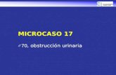 MICROCASO 17 ♂70, obstrucción urinaria. Varón de 70 años Dificultad miccional, tacto rectal sospechoso y PSA de 17,2 ng/ml Biopsia transrectal prostática.