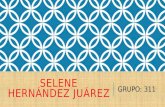 SELENE HERNÁNDEZ JUÁREZ GRUPO: 311. EDUCACIÓN A DISTANCIA POR UNA EDUCACIÓN SIN LIMITES.
