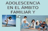 LA ADOLESCENCIA EN EL ÁMBITO FAMILIAR Y SOCIAL. DESARROLLO SOCIAL DEL ADOLESCENTE:  LA EMANCIPACIÓN FAMILIAR  EL GRUPO.