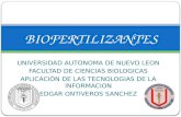 UNIVERSIDAD AUTONOMA DE NUEVO LEON FACULTAD DE CIENCIAS BIOLOGICAS APLICACIÓN DE LAS TECNOLOGIAS DE LA INFORMACION EDGAR ONTIVEROS SANCHEZ BIOFERTILIZANTES.