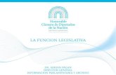 LA FUNCION LEGISLATIVA DR. ADRIAN PAGAN DIRECTOR GENERAL INFORMACION PARLAMENTARIA Y ARCHIVO.