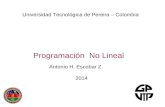 Programación No Lineal Antonio H. Escobar Z. 2014 Universidad Tecnológica de Pereira – Colombia.