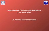 Ingeniería de Procesos Metalúrgicos y de Materiales Dr. Bernardo Hernández Morales.
