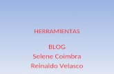 HERRAMIENTAS BLOG Selene Coimbra Reinaldo Velasco.