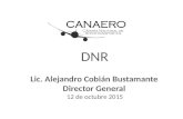 DNR Lic. Alejandro Cobián Bustamante Director General 12 de octubre 2015.