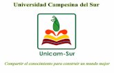 Universidad Campesina del Sur A.C. Objetivo Promover: educación-cultura-tecnologías alternativas e investigación en el sector social, sumando esfuerzo,