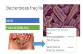Bacteroides fragilis MDR POLIMICROBIANO FACTORES DE RIESGO DM Inmunosupresión Neutropenia Quemaduras Cuerpos extraños GENERALES LOCALES.