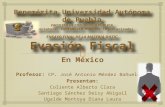 La Evasión Fiscal en México se puede combatir