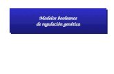 Modelos booleanos de regulación genética
