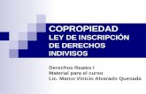 COPROPIEDAD LEY DE INSCRIPCIÓN DE DERECHOS INDIVISOS