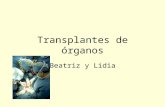 Transplantes de órganos