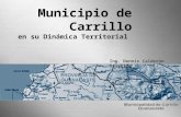 Municipio de Carrillo en su Dinámica Territorial