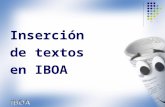 Inserción  de textos  en IBOA