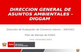 Dirección de Evaluación de Comercio Interno – DIEVACI Plan de Manejo de RAEE  Lima, Diciembre 2013