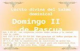 Lectio  divina del Salmo dominical Domingo II   de Pascua
