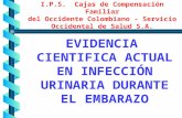 EVIDENCIA CIENTIFICA ACTUAL EN INFECCIÓN URINARIA DURANTE EL EMBARAZO