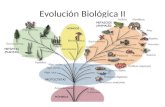 Evolución Biológica II