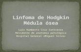 Linfoma de  Hodgkin Médula ósea