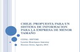 CHILE: propuesta para un sistema de informacion para la empresa de menor tamaño