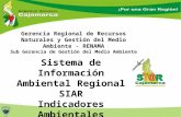 Gerencia  Regional de Recursos Naturales y Gestión del Medio  Ambiente - RENAMA