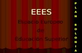 EEES Espacio Europeo  de  Educación Superior